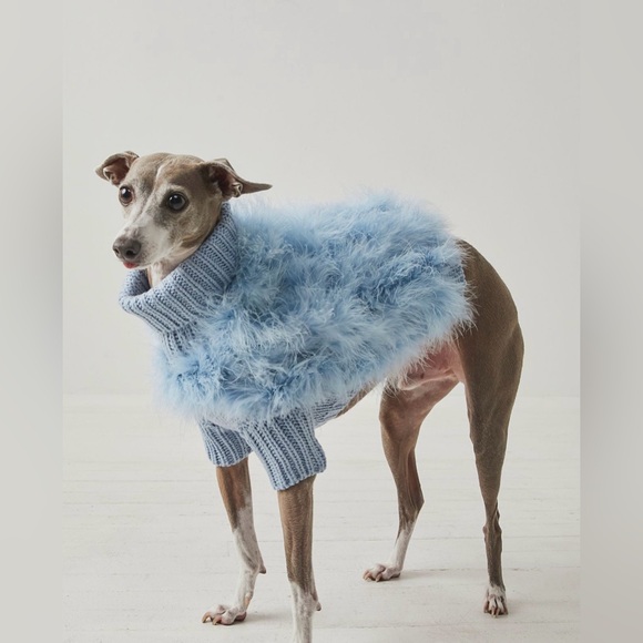 Chilly Dog Other - Chilly Dog Baby Blue XL Sweater